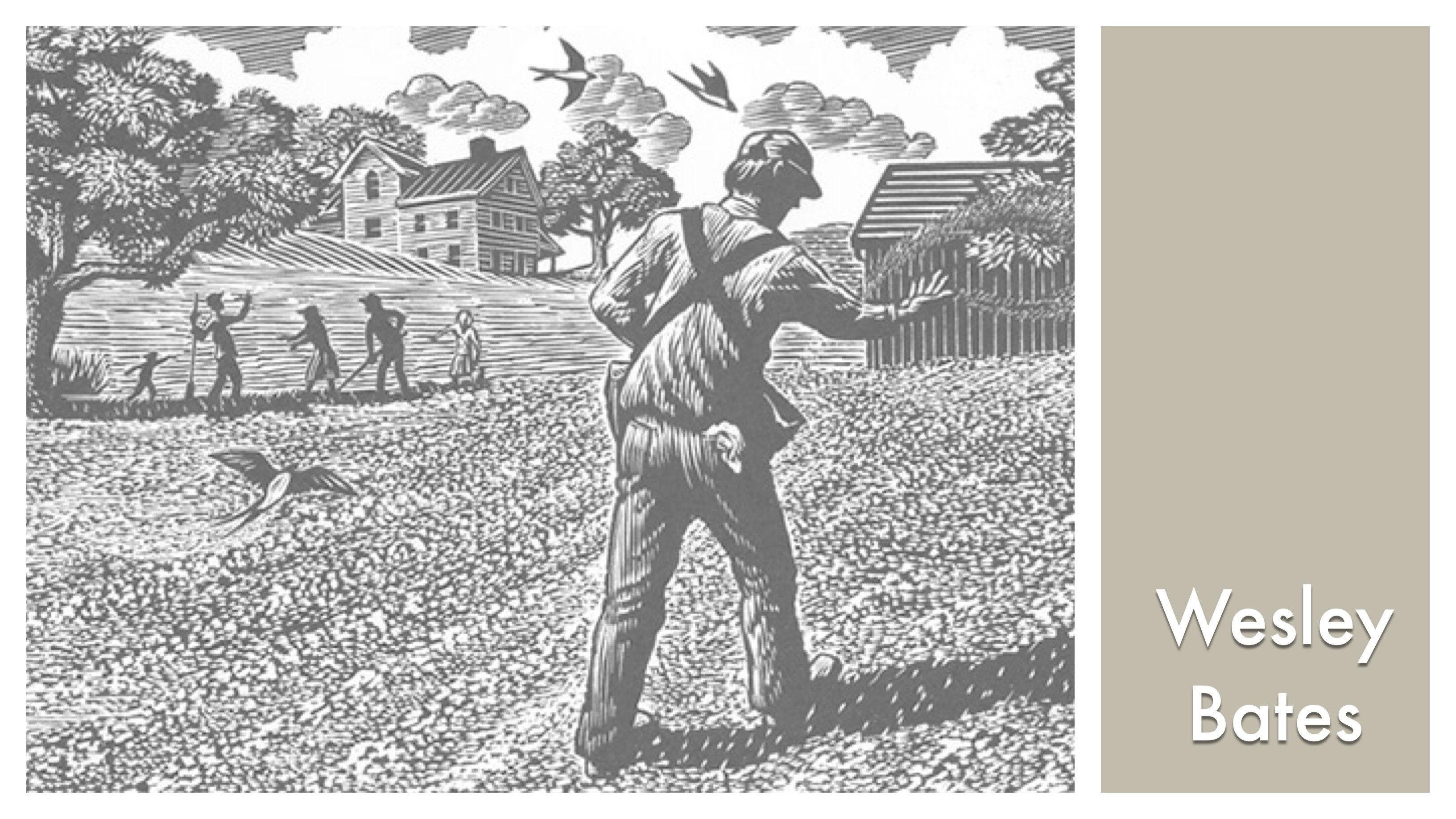 LOOK & SEE: Wesley W. Bates - Wood Engraver