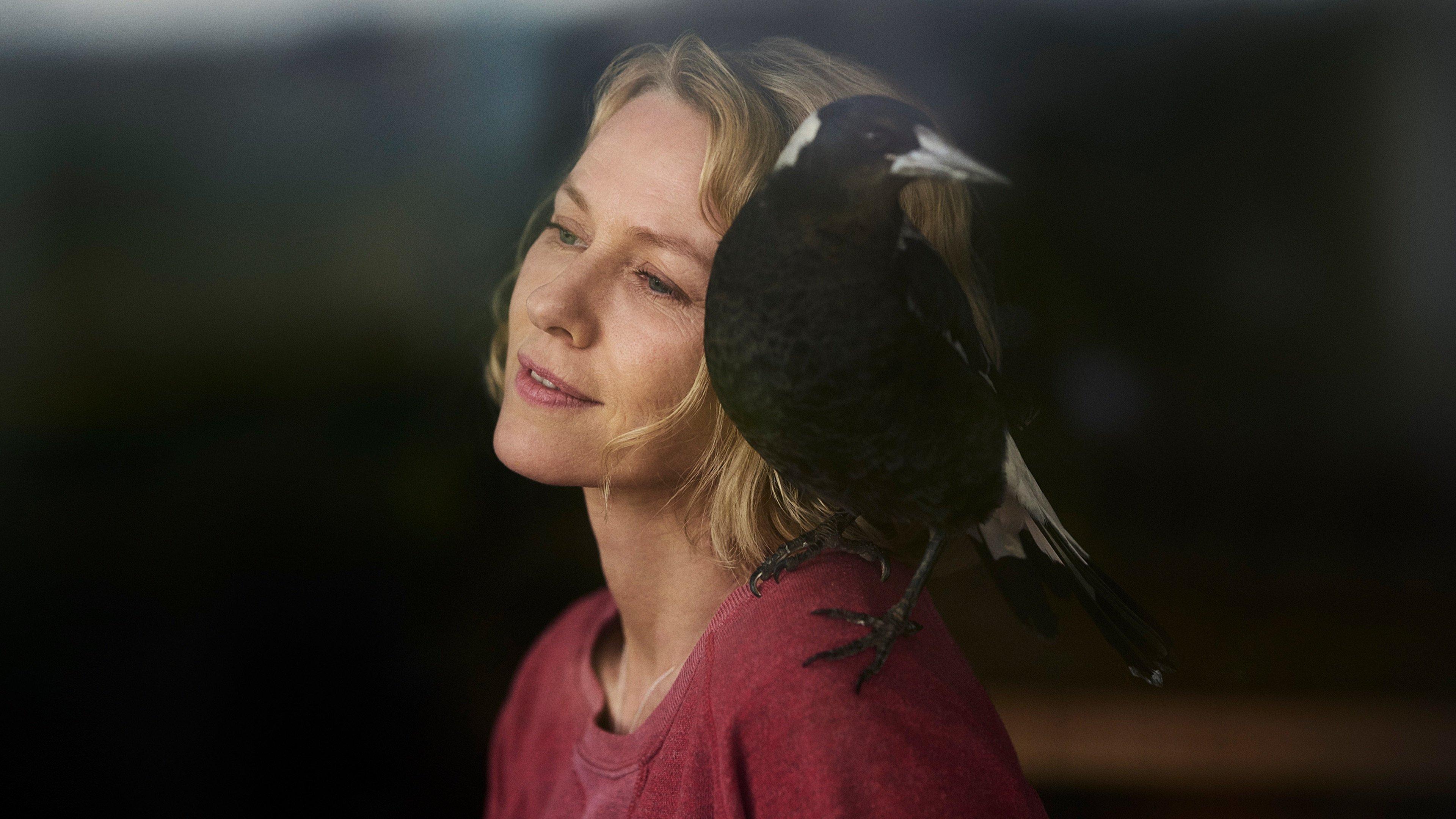 Penguin Bloom: Niesamowita historia Sam Bloom