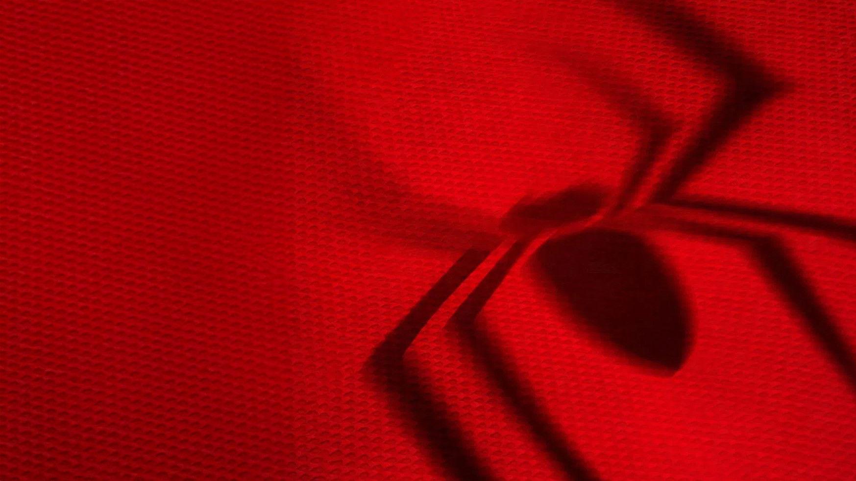 Spider Man. Całkiem Nowy Dzień