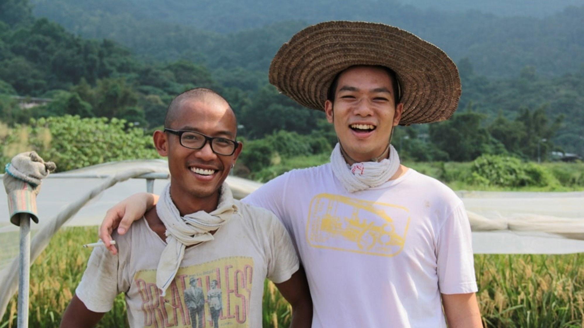 稻米是如何鍊成的