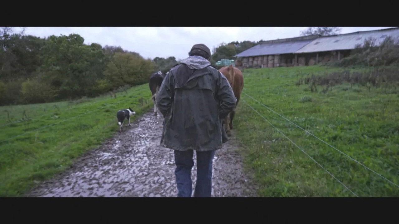 Violence dans les Champs