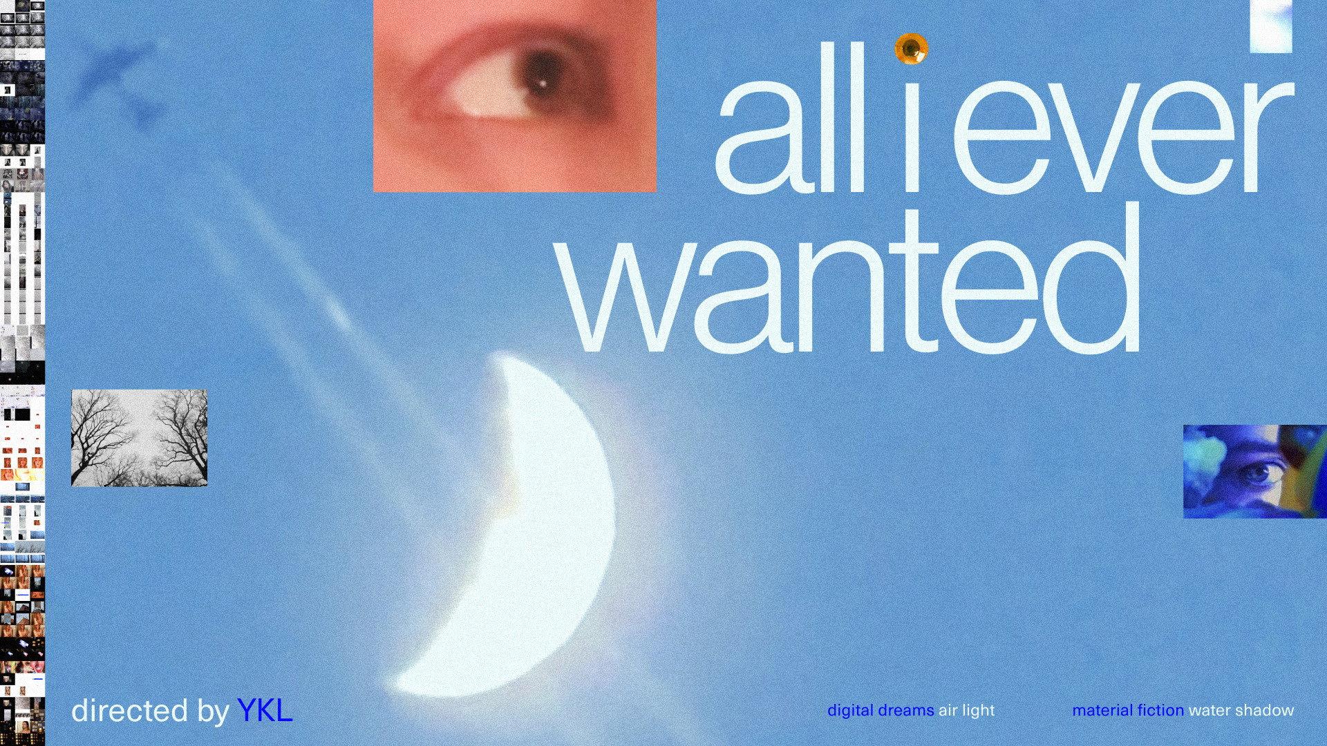 All I Ever Wanted