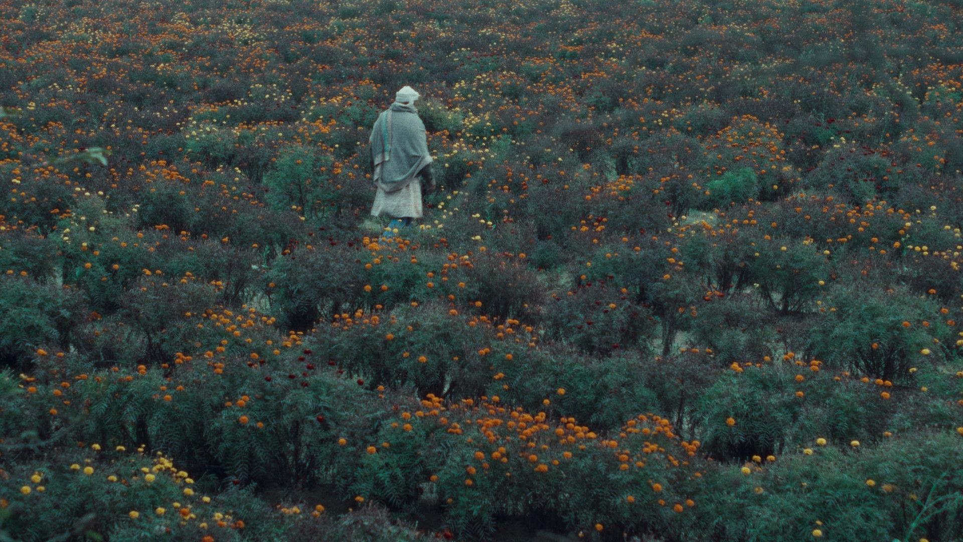 खाल बछड़ा