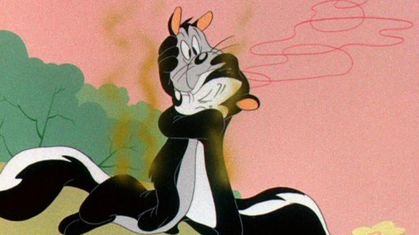 Kociak i jego odor-ator