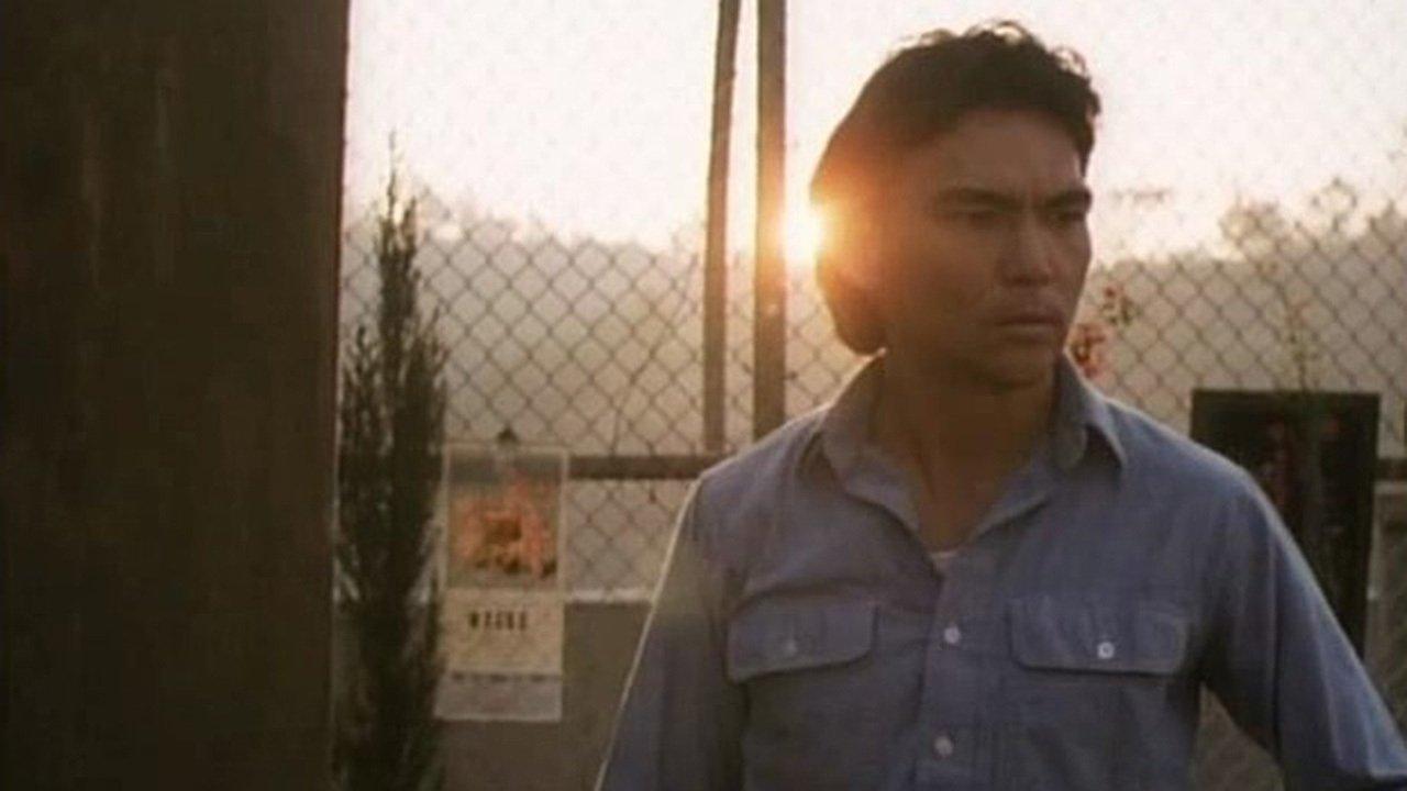 Krwawa Pięść 3: Zmuszony do Walki