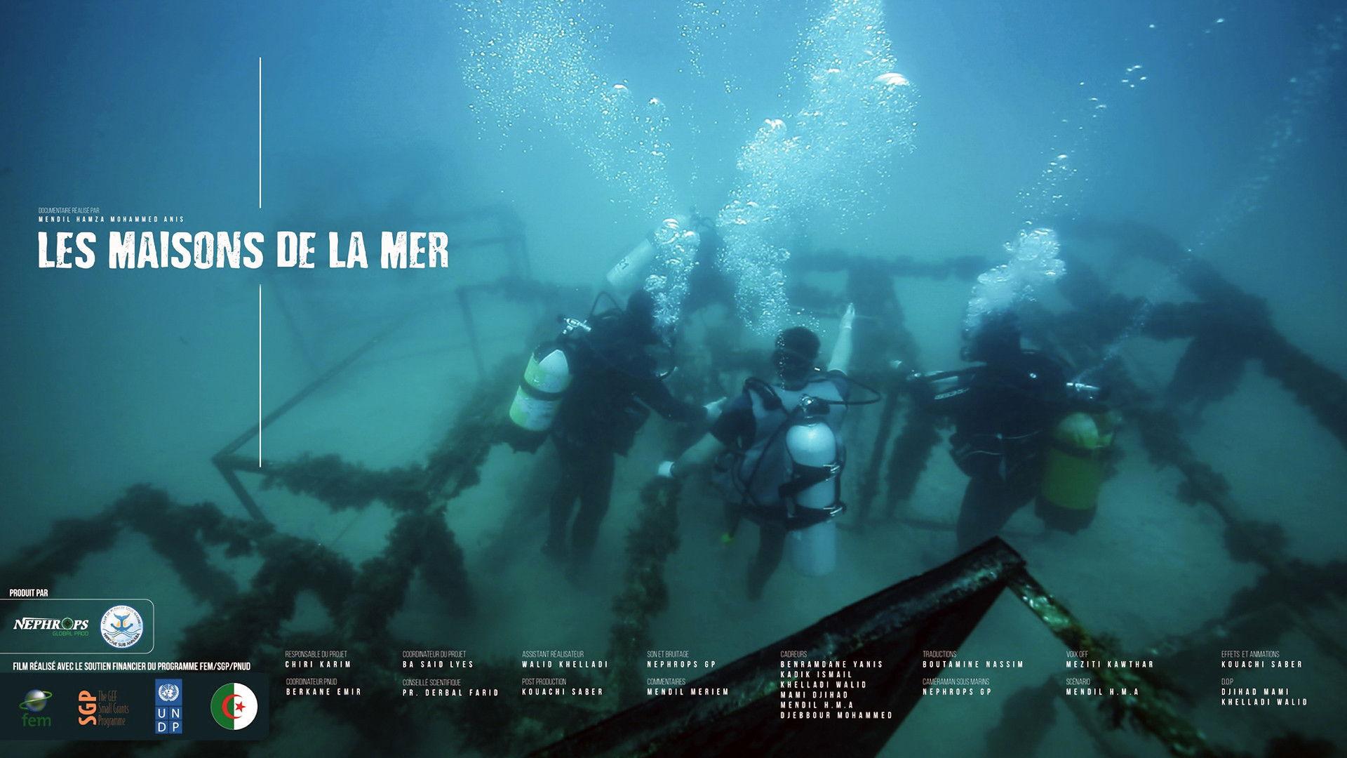 Les Maisons De La Mer