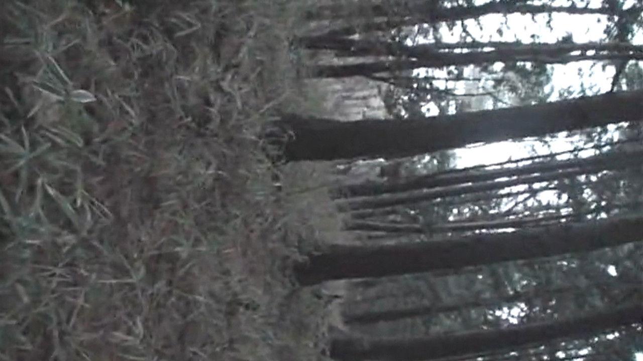 呪いのご当地都市伝説~北海道・東北編~