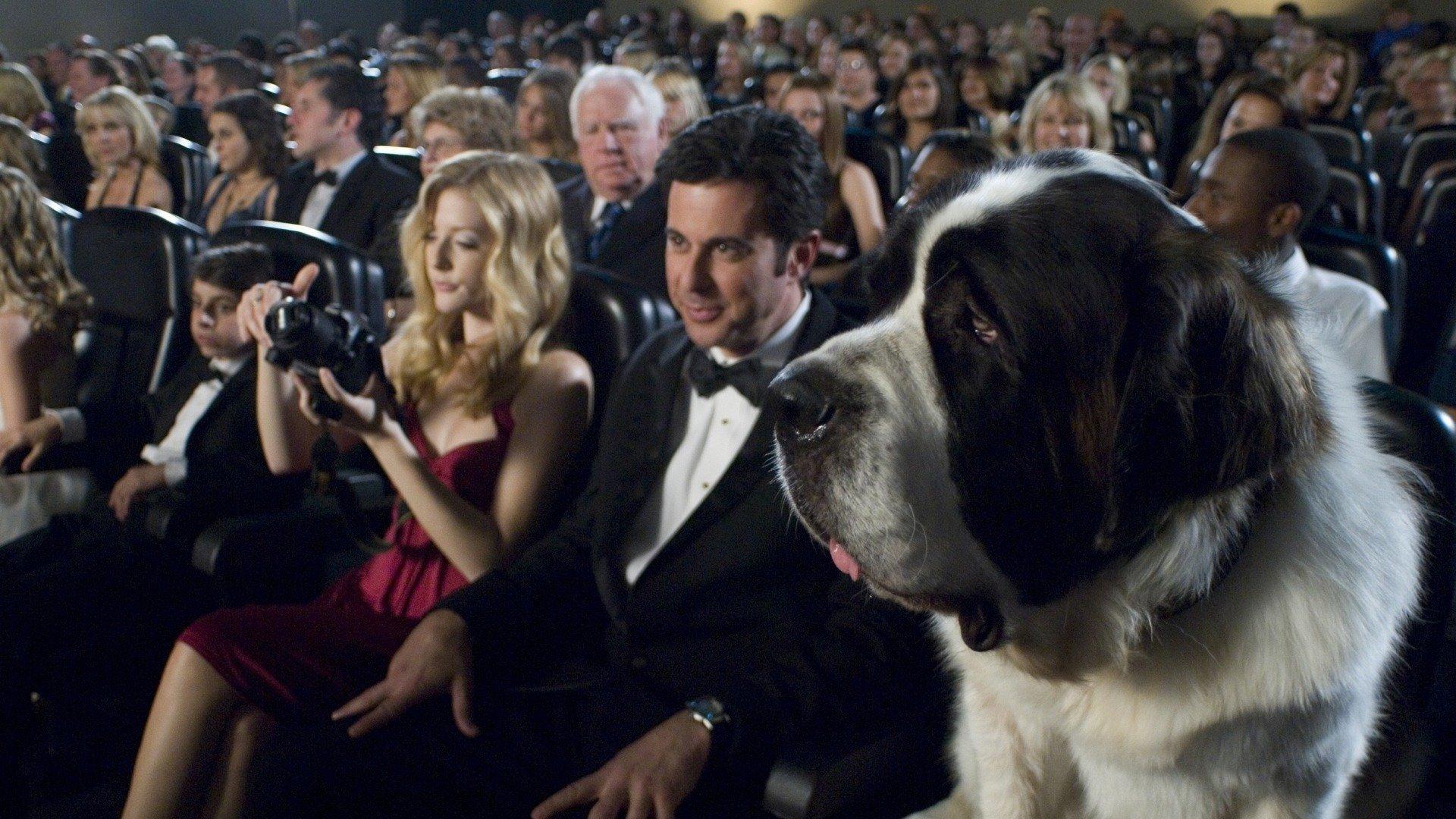 Beethoven 6 - Wielka ucieczka