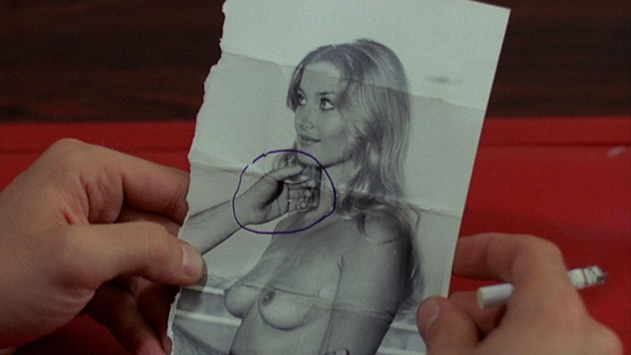 Czarny odwłok tarantuli