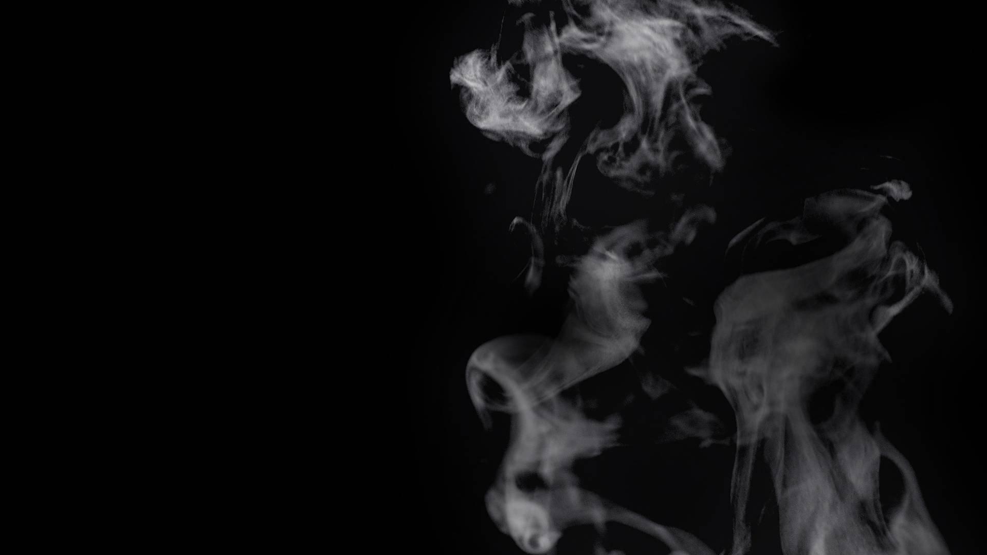 Restaurator – Molestator