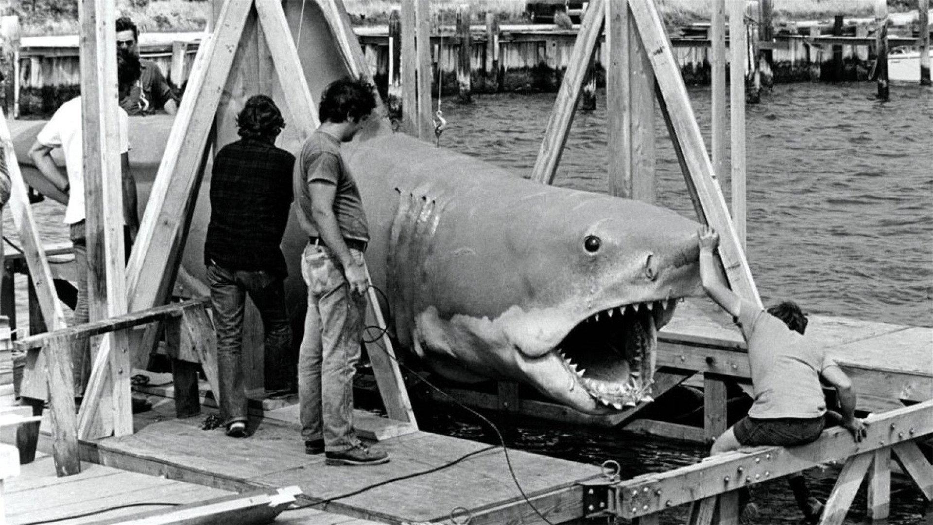 The Shark Is Still Working