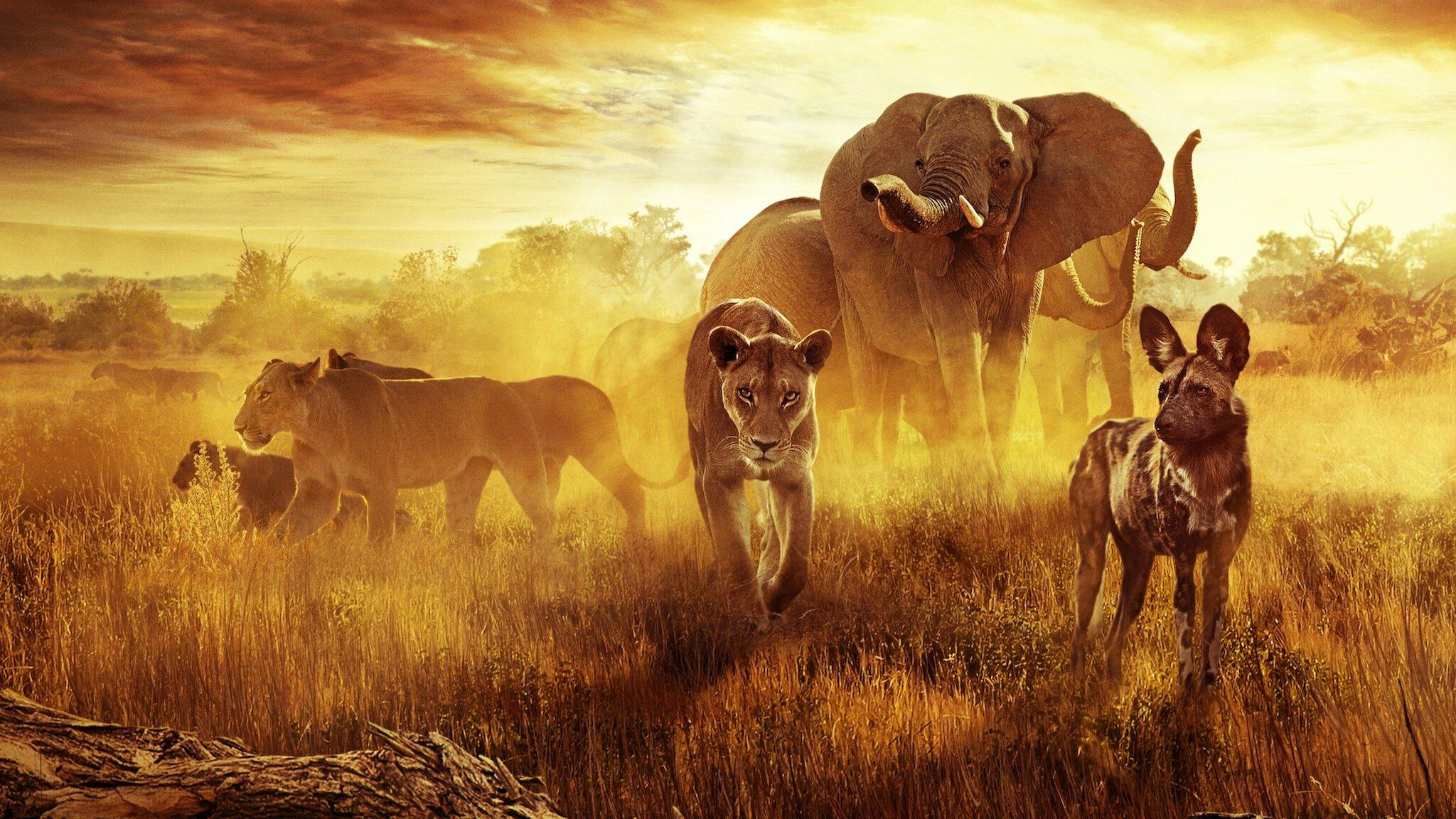 Jak przeżyć w raju: Opowieść rodzinna