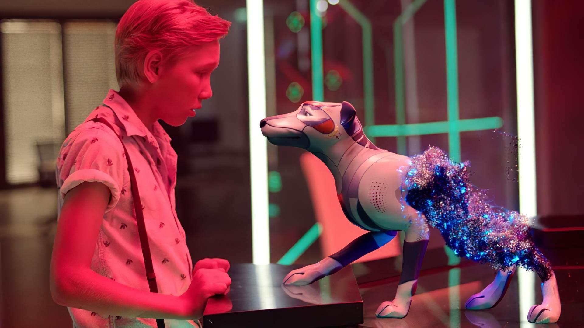 Foxter - cudowny pies