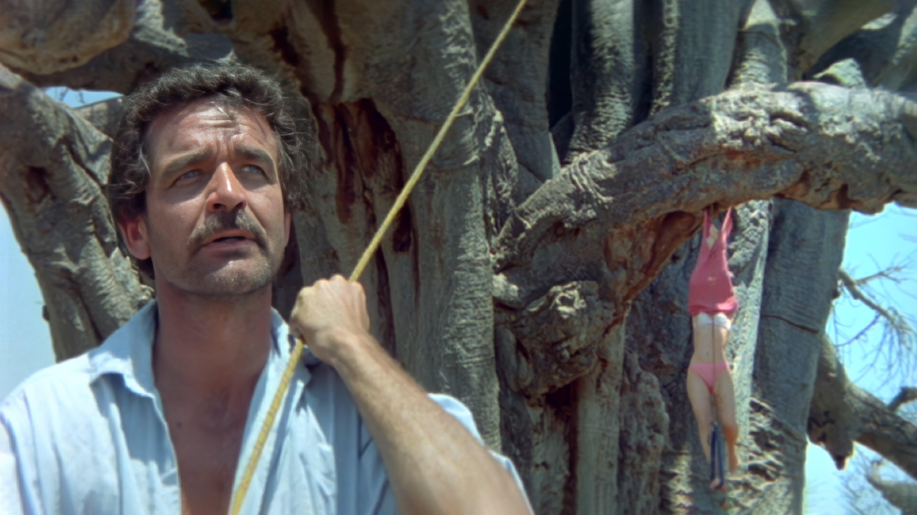 Bogowie muszą być szaleni II