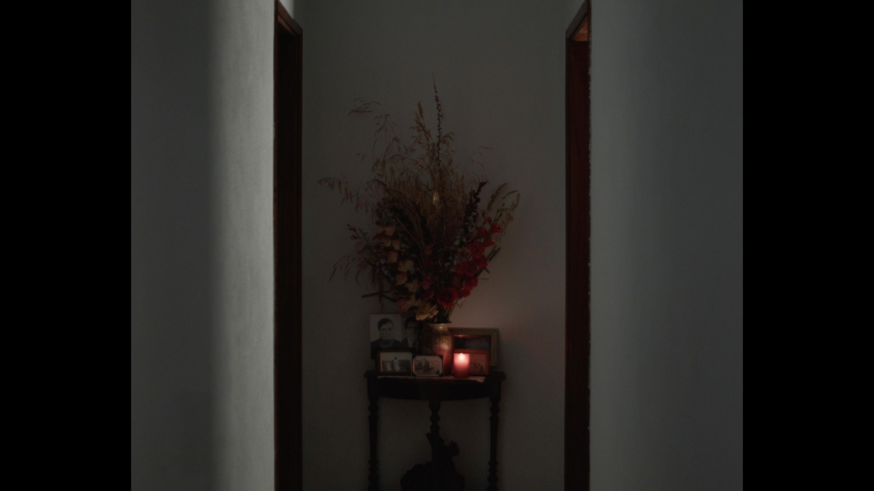 Não Sei O Que Fazer Com As Mãos