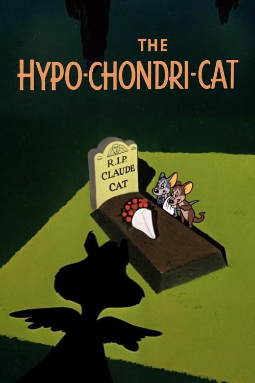 Kot hipochondryk