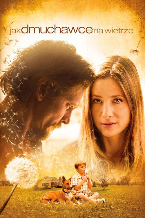 Jak dmuchawce na wietrze