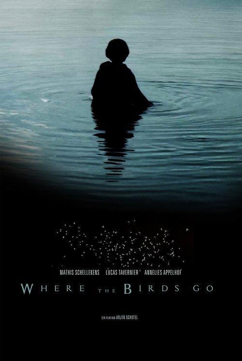 Where the birds go
