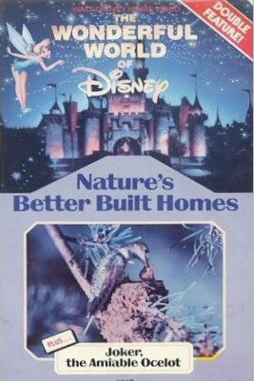 Joker, The Amiable Ocelot