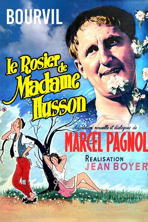 Le rosier de Madame Husson