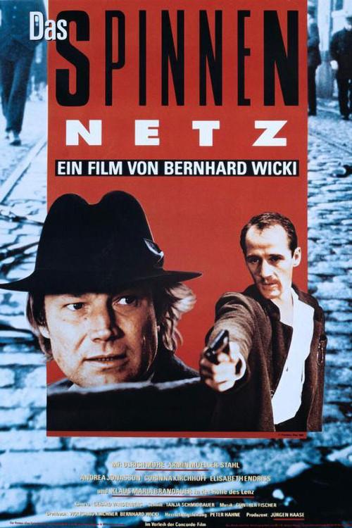 Das Spinnennetz