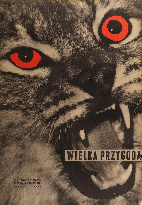Wielka przygoda