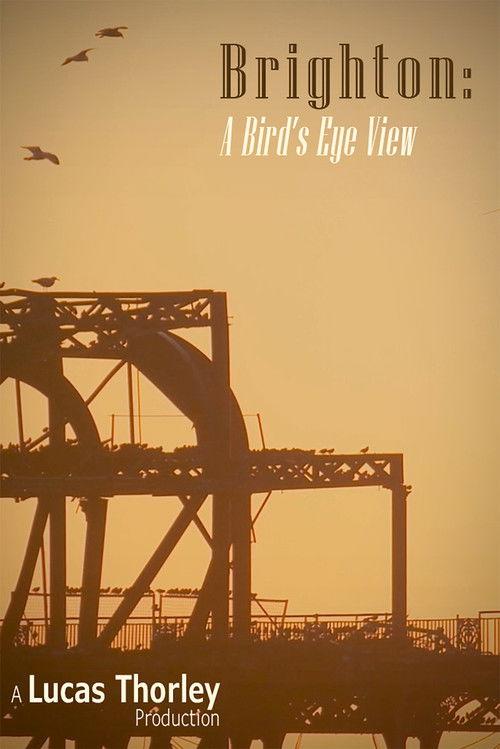 Brighton: A Bird's Eye View