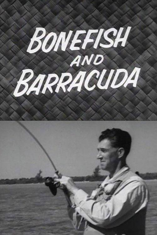 Bonefish and Barracuda